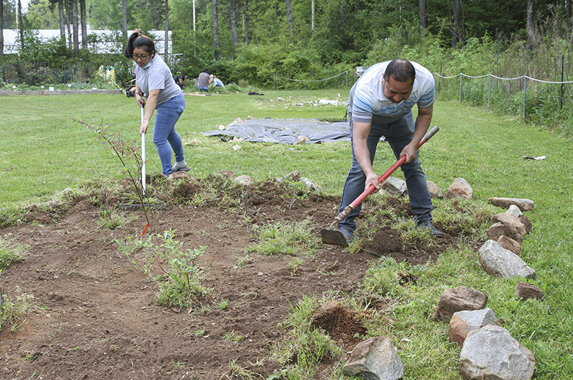 Nancy Salguero, left, of Decatur, helps her uncle, Francisco Gregorio of Stone Mountain, weed his area in the garden April 17. Gregorio has had a plot at the Stone Mountain Community Garden for nearly five years Photo By Michael Alexander