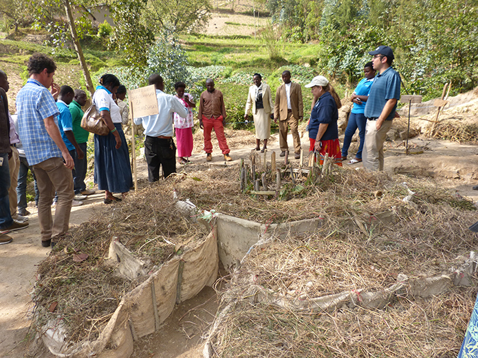 Kitchen gardens dot the Rwandan landscape and help families and communities plant produce packed with nutrition such as sweet potatoes to fight malnutrition and generate incomes.