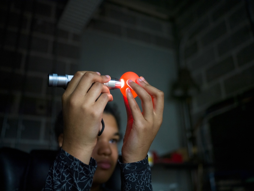 Sophia Larrier checks a chicken egg for peak freshness at the start of her work day at Peachtree Farm, an employment farm for adults with disabilities. Photo by Johnathon Kelso