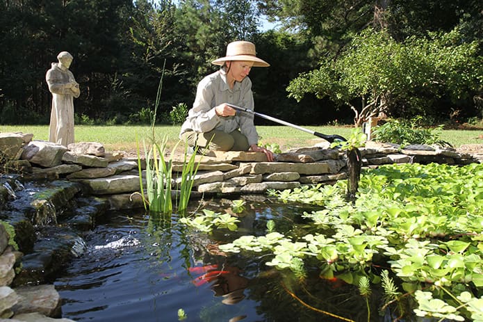 After morning prayer Sister Mary Beatrice Raphael changes out of her habit to work in the backyard, where she removes some of the water hyacinth overpopulating the pond. Photo By Michael Alexander