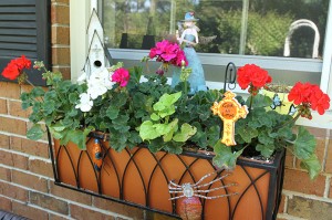 Among the flower window box of geraniums is a church and an angel. (Photo By Michael Alexander)