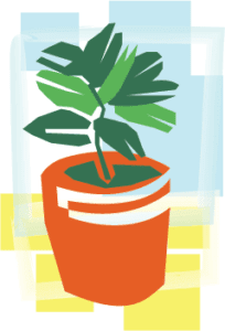 plant