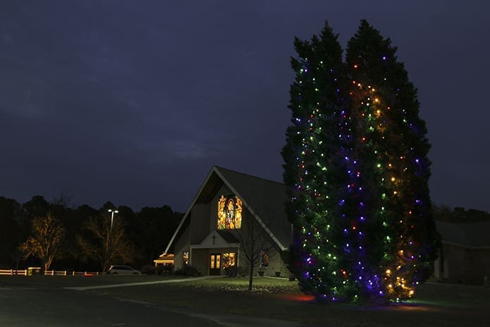 Queen of angels christmas trees Clearance